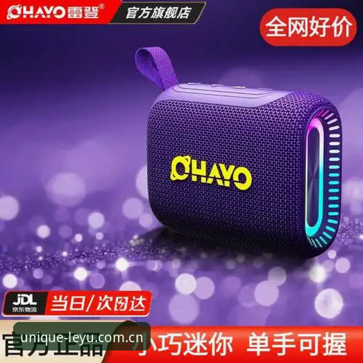 乐鱼体育平台B24C登录完整指南：3个关键设置让你不掉线